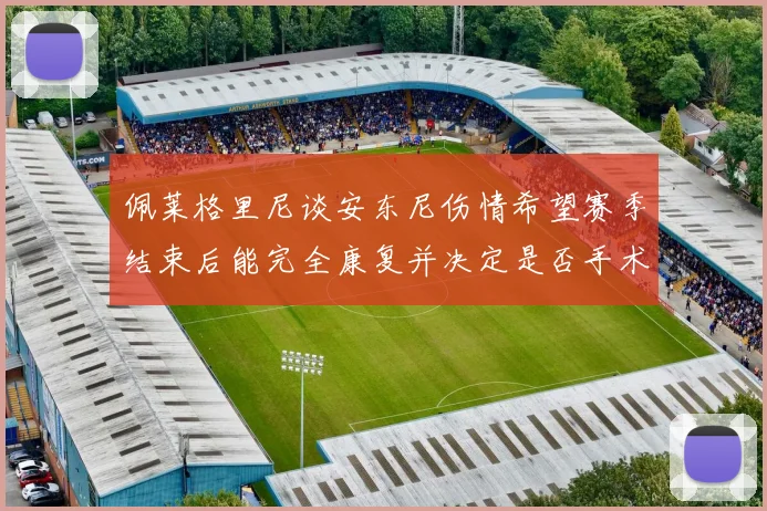 佩莱格里尼谈安东尼伤情希望赛季结束后能完全康复并决定是否手术